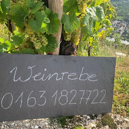 Weinrebe Leilighet Bernkastel-Kues Eksteriør bilde