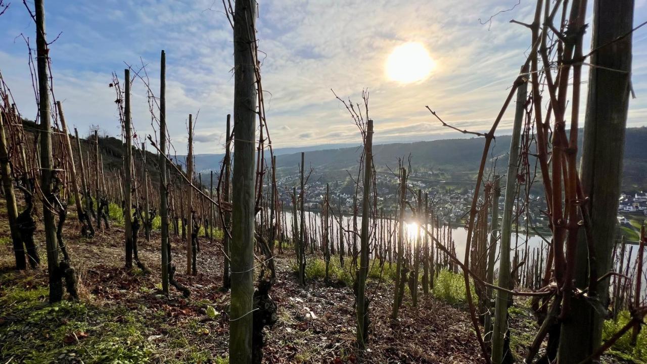 Weinrebe Leilighet Bernkastel-Kues Eksteriør bilde
