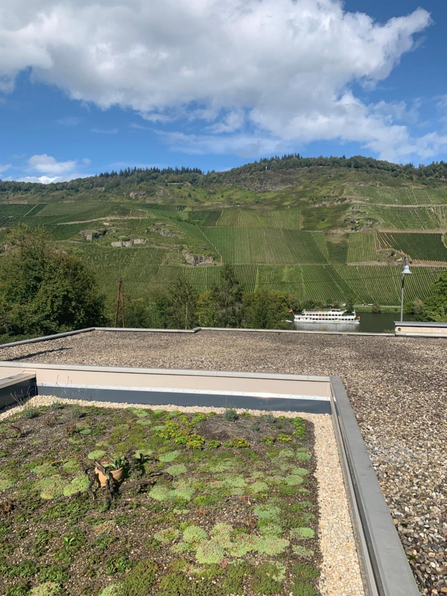Weinrebe Leilighet Bernkastel-Kues Eksteriør bilde